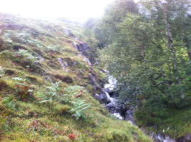 Stream on the ascent
